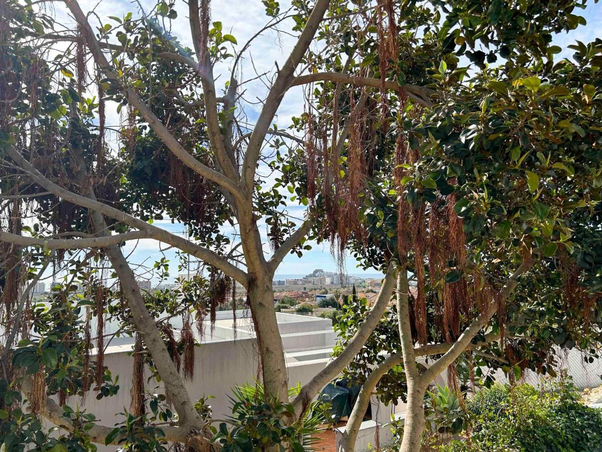 فيلا Chalet Independiente Roquetes Peñíscola المظهر الخارجي الصورة